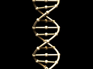 dna chain 3D Model