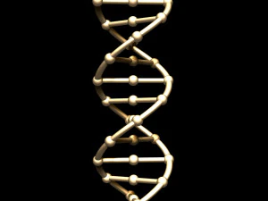 dna chain 3D Model