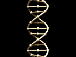 dna chain 3D Model