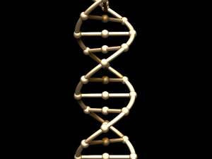 dna chain 3D Model