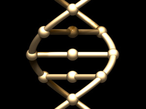 dna chain 3D Model