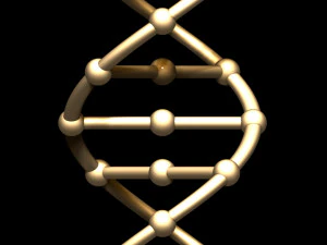 dna chain 3D Model