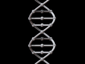 dna chain 3D Model