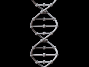dna chain 3D Model