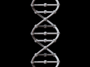 dna chain 3D Model