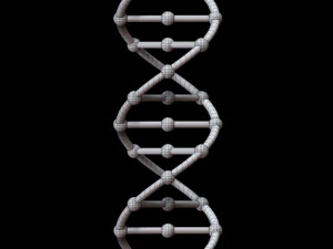 dna chain 3D Model