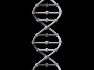 dna chain 3D Model