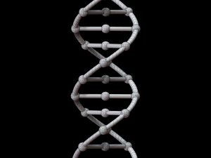 dna chain 3D Model