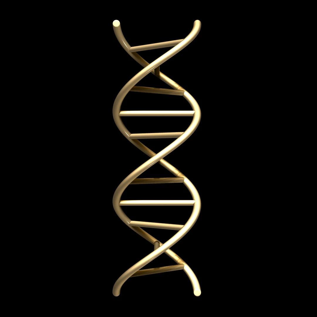 dna chain 3D Model .c4d .max .obj .3ds .fbx .stl .blend 
