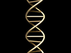 cadeia de DNA Modelo 3D
