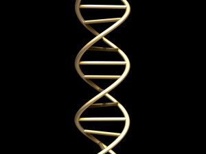 dna chain Model 3D