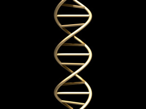 dna chain Model 3D