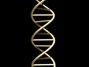 dna chain Model 3D