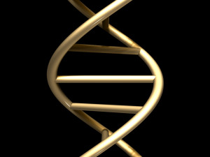 dna chain Model 3D