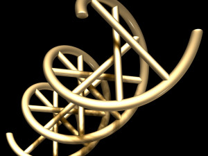 dna chain Model 3D