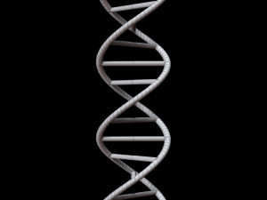 dna chain Model 3D