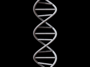 dna chain Model 3D