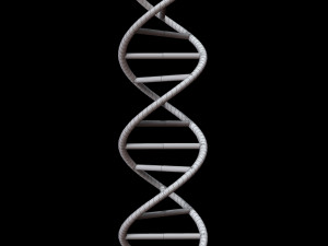 dna chain Model 3D