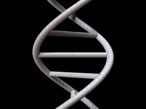dna chain Model 3D