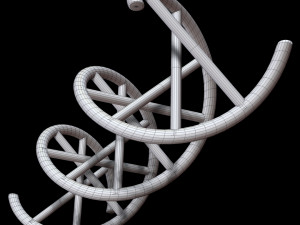 dna chain Model 3D