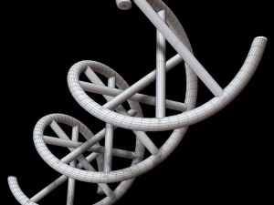 dna chain 3D Model