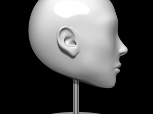 mannequin head 3D Model