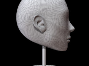 mannequin head 3D Model