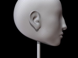 mannequin head 3D मॉडल