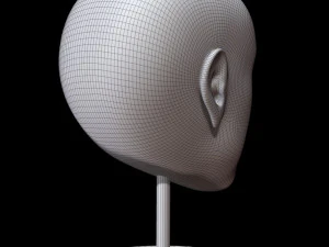 mannequin head 3D Model