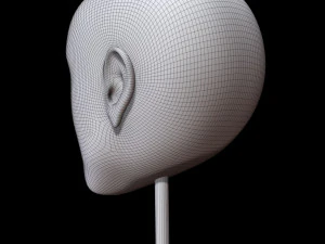 mannequin head 3D Model