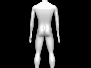 mannequin male 3D Model