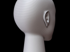 Mannequin head 3D Model