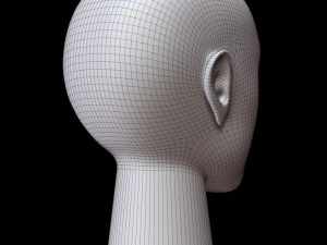 Mannequin head 3D Model