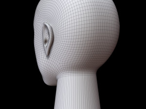 Mannequin head 3D Model