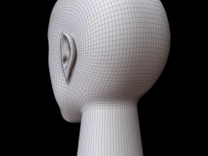 Mannequin head 3D Model