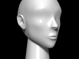 Mannequin head 3D Model