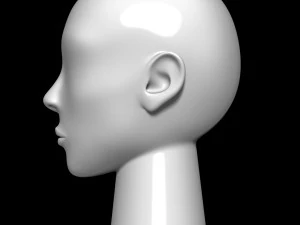 Mannequin head 3D Model