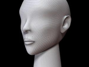 Mannequin head 3D Model