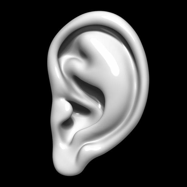 Ear 3D Model .c4d .max .obj .3ds .fbx .stl .blend 