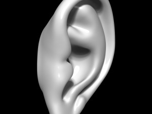 Ear 3D Model