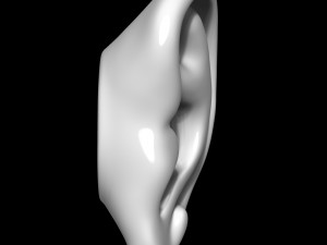 Ear 3D Model