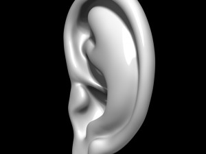 Ear 3D Model