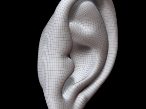 Ear 3D Model