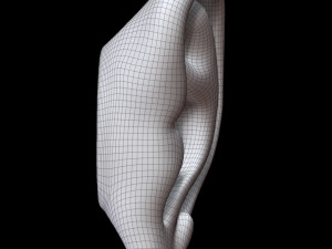 Ear 3D Model