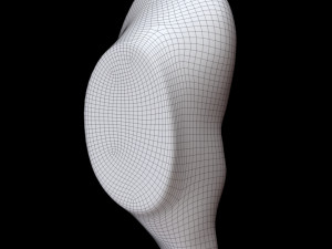 Ear 3D Model