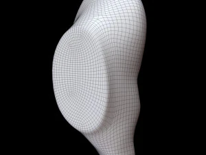 Ear 3D Model