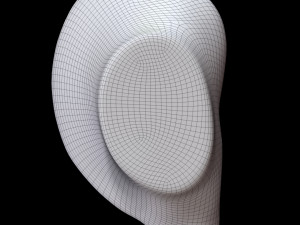 Ear 3D Model
