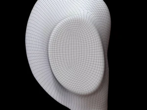 Ear 3D Model