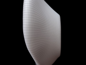 Ear 3D Model