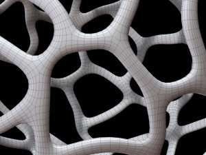 Sphere Voronoi 3D Model
